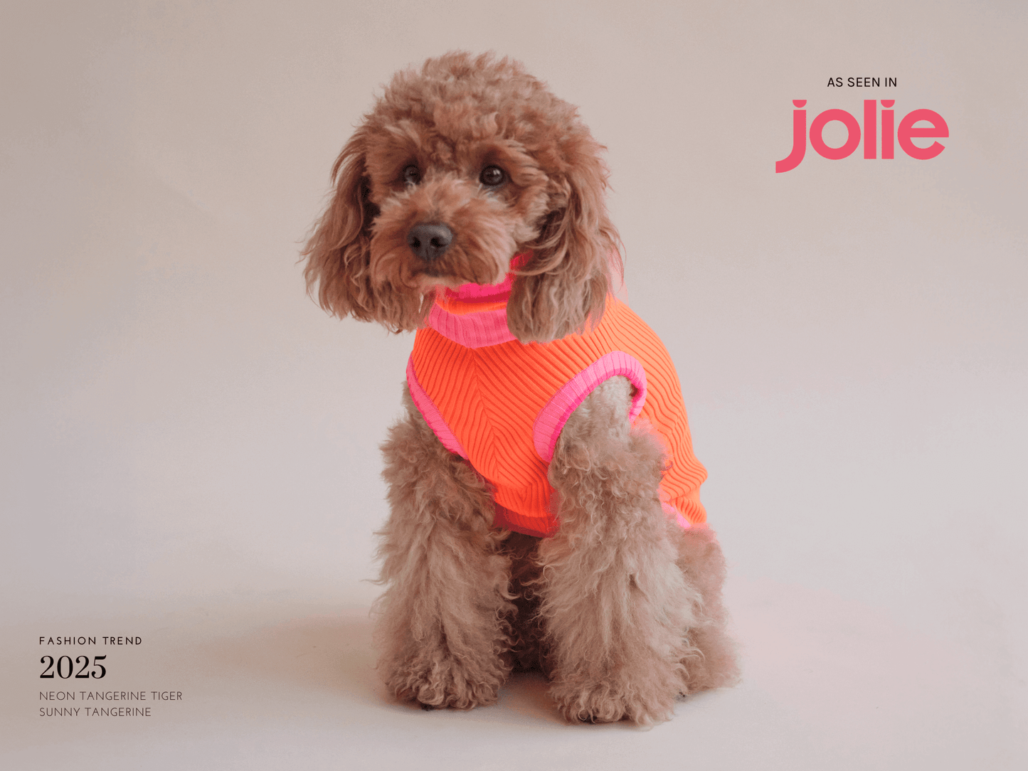 THE GLOW JUMPER 2.0 | Sunny Tangerine