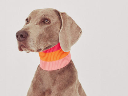THE GLOW LOOP 2.0 (Sunny Tangerine)