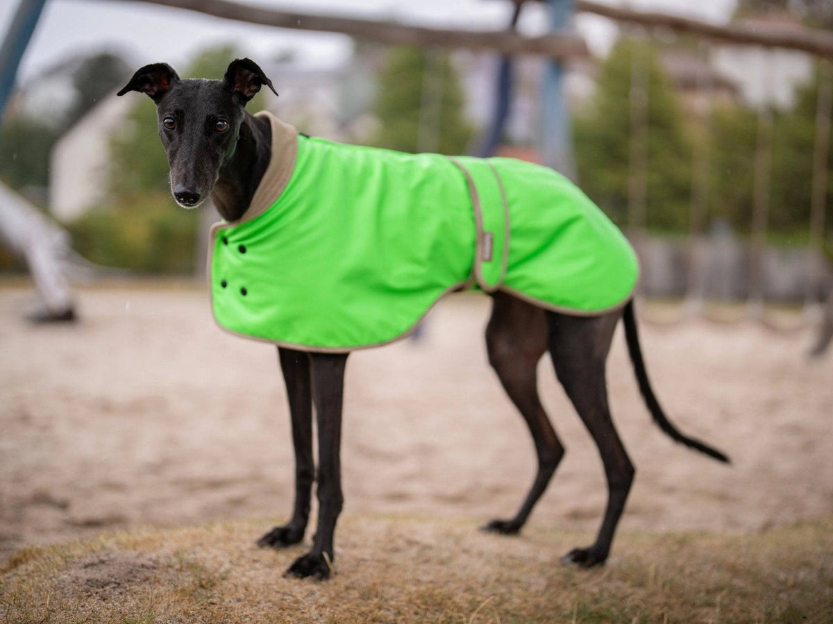 The Glow Raincoat Regular-Fit | Neon Green Gecko
