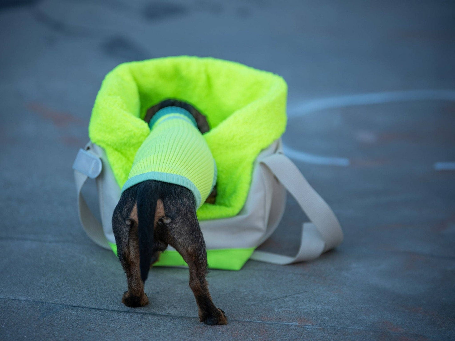 THE GLOW JUMPER 2.0 | Neon Matcha