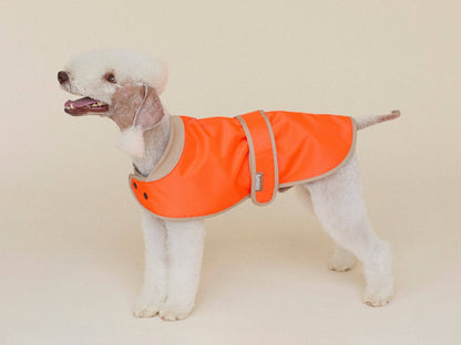 THE GLOW RAINCOAT | mini-fit