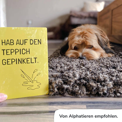 Ehrliche Meilensteine - HUNDE