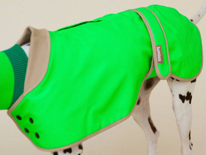 The Glow Raincoat Regular-Fit | Neon Green Gecko