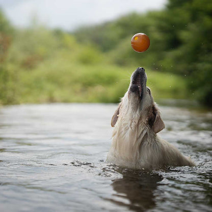 Rub Ball Hundespielzeug aus natürlichem Bio-Kautschuk
