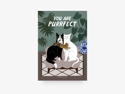 Pin You Are Purrfect