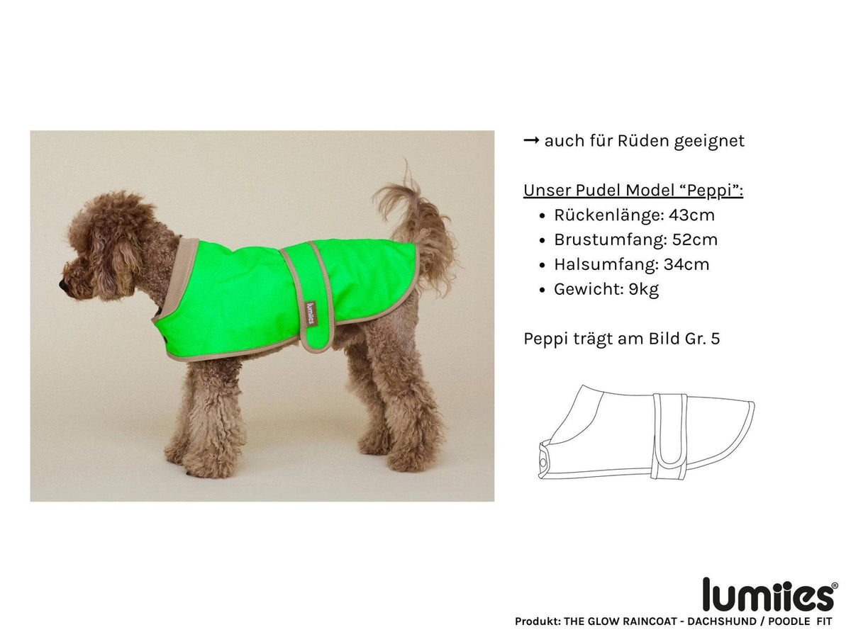 The Glow Raincoat Mini-Fit |  Neon Green Gecko