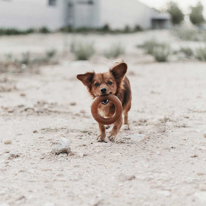 Hundespielzeug Rub Bite