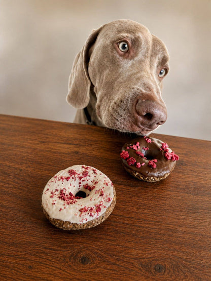 Choco-Berry Hunde-Donuts