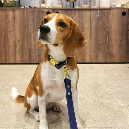 Hundehalsband PATAPOUF