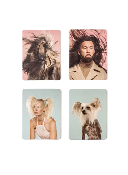 Memory Siehst du aus wie dein Hund?