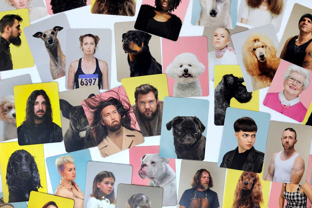 Memory Siehst du aus wie dein Hund?