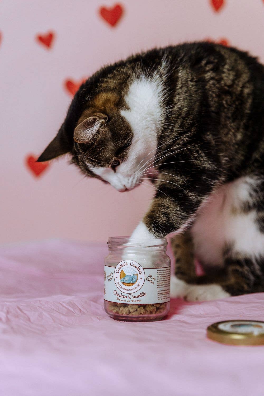 Chicken Crumble – Kalorienarme Leckerlis für Hunde und Katzen