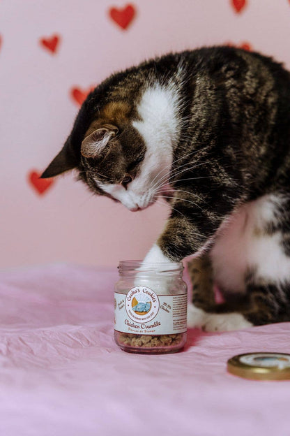 Chicken Crumble – Kalorienarme Leckerlis für Hunde und Katzen