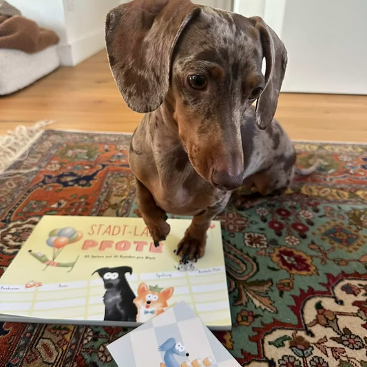 Spieleblock "Stadt Land Pfote"