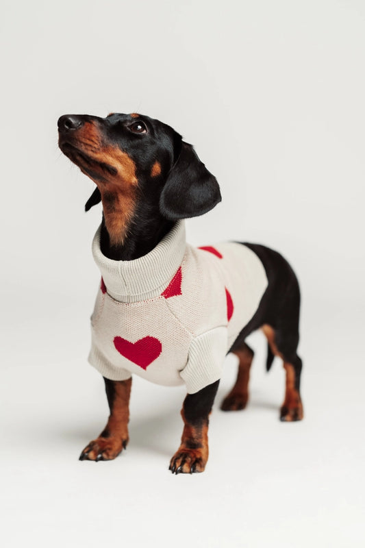 gestrickter Hundepullover mit Herzen