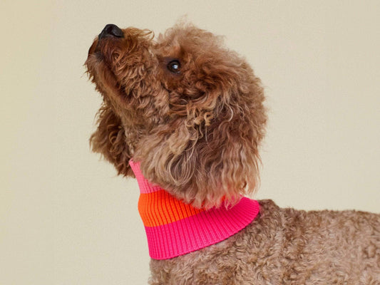 THE GLOW LOOP 2.0 (Sunny Tangerine)