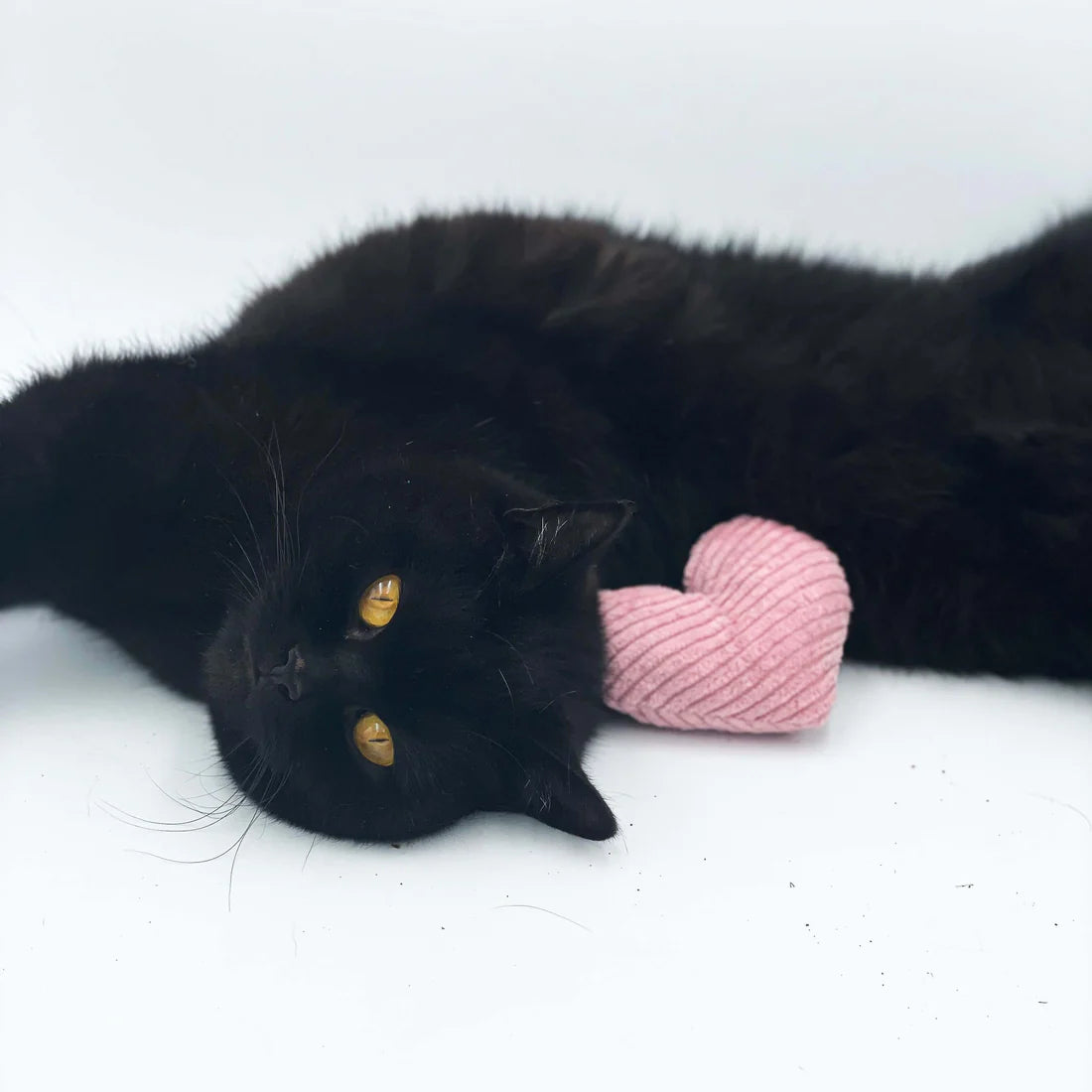 Katzenminze Kissen Herz
