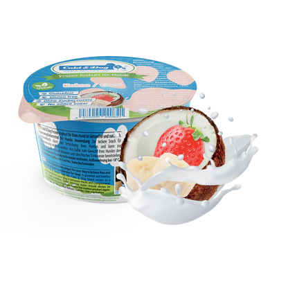 Hundeeis vegan - Coco Bello