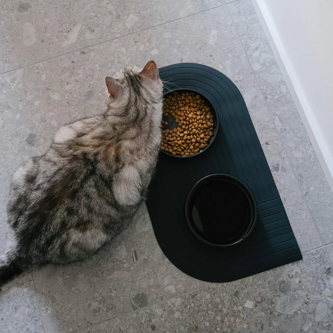 Wassernapf Gourmet | Creme & Schwarz