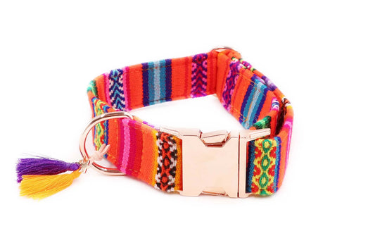 Handgemachtes Hundehalsband aus Baumwolle – LaaVida Neonorange
