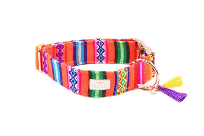 Handgemachtes Hundehalsband aus Baumwolle – LaaVida Neonorange