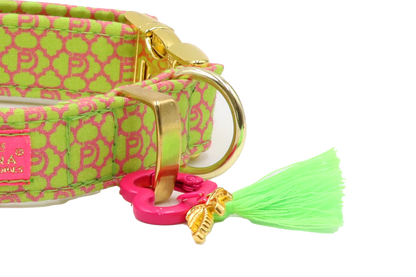 Handgemachtes Hundehalsband aus Baumwolle – SIGNATURE Summer Green