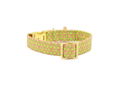 Handgemachtes Hundehalsband aus Baumwolle – SIGNATURE Summer Green