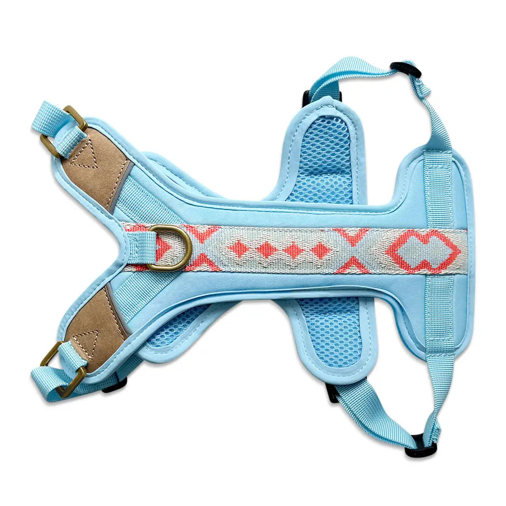 Handgemachtes Premium Hundegeschirr Gepolstert Blau/Koralle von Hey Lana Ansicht Bauch, erhältlich bei fiffi&muschi - Hundeladen/Concept Store Köln
