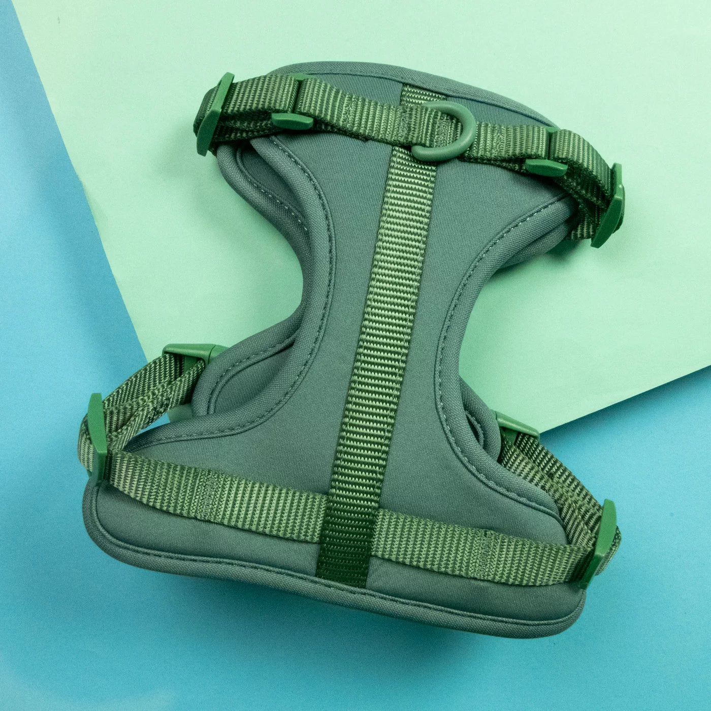 Handgemachtes Hundegeschirr Explorer aus Neopren in Grün von woof & wiggle Rückansicht, erhältlich bei fiffi&muschi - Hundeladen/Concept Store Köln