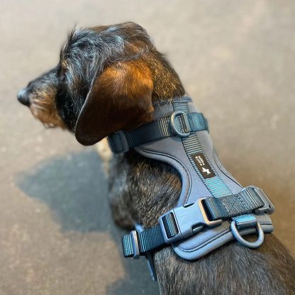 Handgemachtes Hundegeschirr Explorer aus Neopren in Navy von woof & wiggle Rückansicht am Hund, erhältlich bei fiffi&muschi - Hundeladen/Concept Store Köln