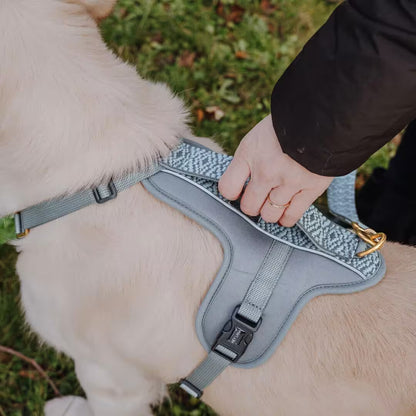 Handgemachtes Premium Hundegeschirr Gepolstert Anthrazit/Eisblau von Hey Lana getragen am Hund - Griffansicht, erhältlich bei fiffi&muschi - Hundeladen/Concept Store Köln