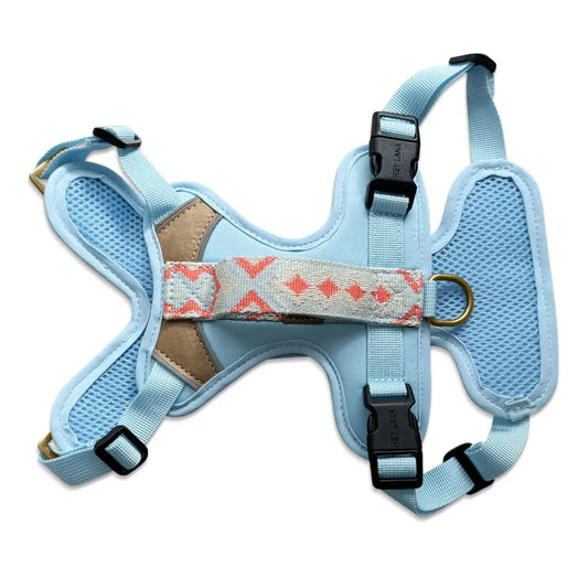 Handgemachtes Premium Hundegeschirr Gepolstert Blau/Koralle von Hey Lana Ansicht Rücken, erhältlich bei fiffi&muschi - Hundeladen/Concept Store Köln