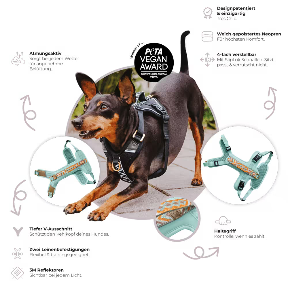 Handgemachtes Premium Hundegeschirr Gepolstert von Hey Lana Funktionen, erhältlich bei fiffi&muschi - Hundeladen/Concept Store Köln
