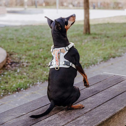 Handgemachtes Premium Hundegeschirr Gepolstert Grau/Pink von Hey Lana getragen am kleinen Hund - Rückenansicht, erhältlich bei fiffi&muschi - Hundeladen/Concept Store Köln