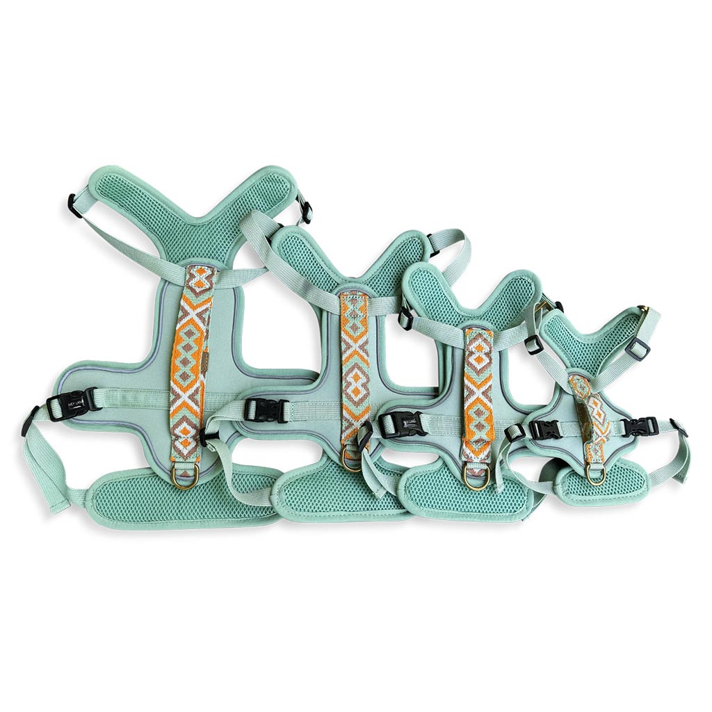 Handgemachtes Premium Hundegeschirr Gepolstert Mint/Orange von Hey Lana, erhältlich bei fiffi&muschi - Hundeladen/Concept Store Köln