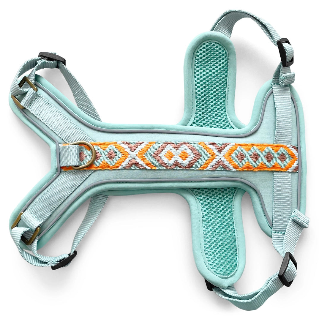 Handgemachtes Premium Hundegeschirr Gepolstert Mint/Orange von Hey Lana Ansicht Bauch, erhältlich bei fiffi&muschi - Hundeladen/Concept Store Köln