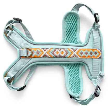 Handgemachtes Premium Hundegeschirr Gepolstert Mint/Orange von Hey Lana Ansicht Bauch, erhältlich bei fiffi&muschi - Hundeladen/Concept Store Köln