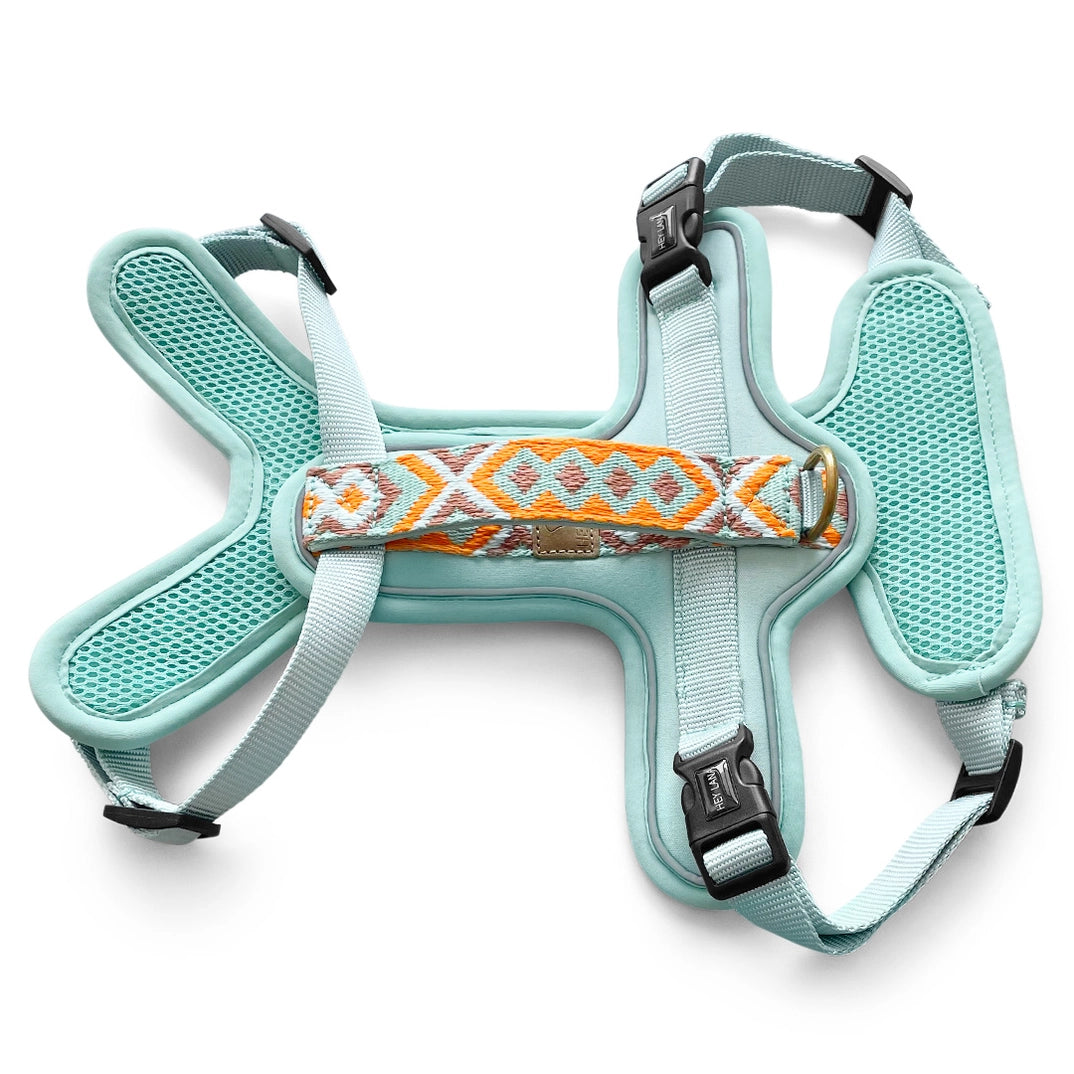 Handgemachtes Premium Hundegeschirr Gepolstert Mint/Orange von Hey Lana Ansicht Rücken, erhältlich bei fiffi&muschi - Hundeladen/Concept Store Köln