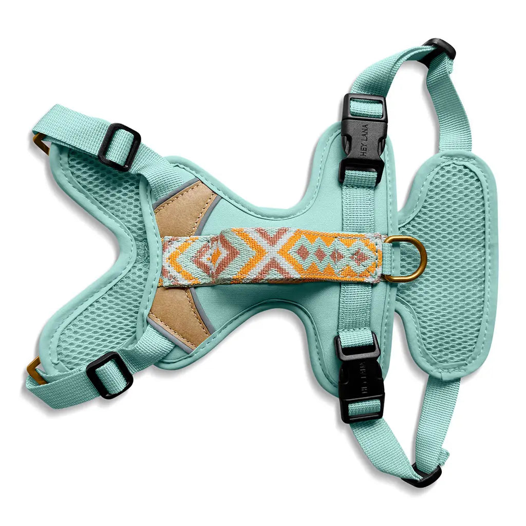 Handgemachtes Premium Hundegeschirr Gepolstert Mint/Orange von Hey Lana Ansicht Rücken, erhältlich bei fiffi&muschi - Hundeladen/Concept Store Köln