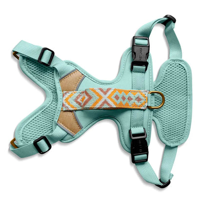 Handgemachtes Premium Hundegeschirr Gepolstert Mint/Orange von Hey Lana Ansicht Rücken, erhältlich bei fiffi&muschi - Hundeladen/Concept Store Köln