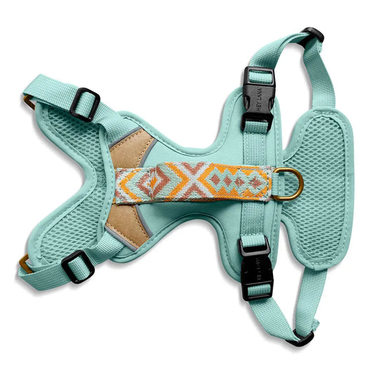 Handgemachtes Premium Hundegeschirr Gepolstert Mint/Orange von Hey Lana Ansicht Rücken, erhältlich bei fiffi&muschi - Hundeladen/Concept Store Köln