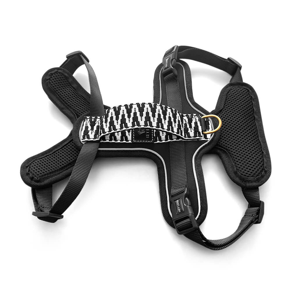 Handgemachtes Premium Hundegeschirr Gepolstert Schwarz/Weiß von Hey Lana Ansicht Rücken, erhältlich bei fiffi&muschi - Hundeladen/Concept Store Köln