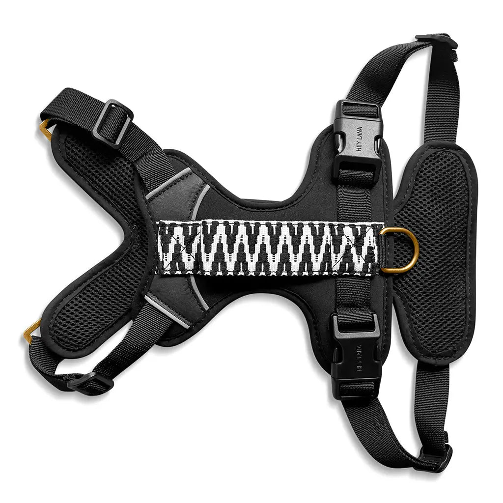 Handgemachtes Premium Hundegeschirr Gepolstert Schwarz/Weiß von Hey Lana Ansicht Rücken, erhältlich bei fiffi&muschi - Hundeladen/Concept Store Köln