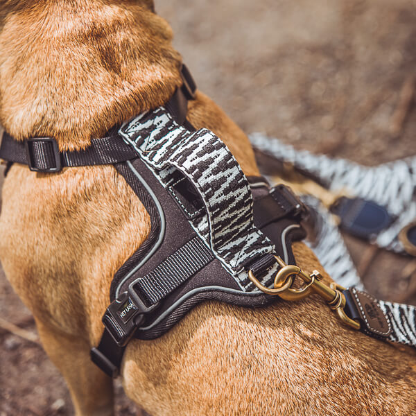 Handgemachtes Premium Hundegeschirr Gepolstert Schwarz/Weiß von Hey Lana getragen am Hund - Griffansicht, erhältlich bei fiffi&muschi - Hundeladen/Concept Store Köln