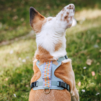 Handgemachtes Premium Hundegeschirr Gepolstert Sunset/Eukalyptus von Hey Lana getragen am Hund - Rückenansicht, erhältlich bei fiffi&muschi - Hundeladen/Concept Store Köln