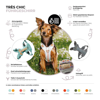 Handgemachtes Premium Hundegeschirr Gepolstert von Hey Lana Funktionen, erhältlich bei fiffi&muschi - Hundeladen/Concept Store Köln