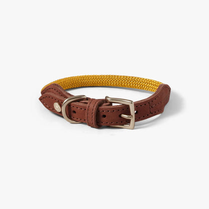 Hundehalsband Torekov Sunflower Yellow