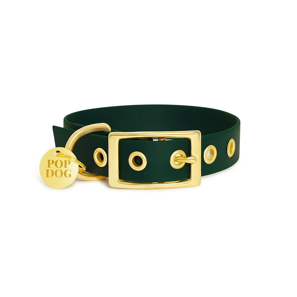 Handgemachtes Hundehalsband ELEGANTE aus robuster Biothane Grün, Ansicht Verschluss aus Messing, erhältlich bei fiffi&muschi - Hundeladen/Concept Store Köln