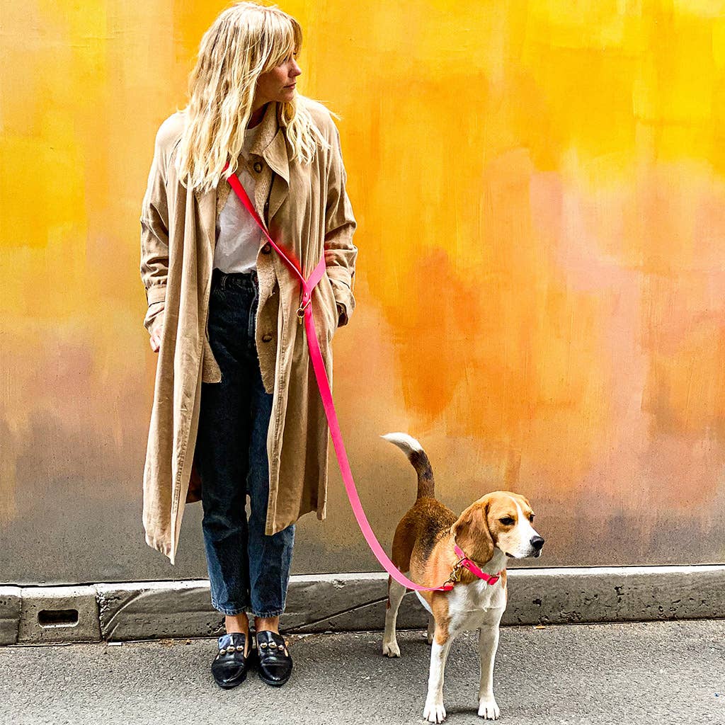 Handgemachtes Hundehalsband GLOUTON aus robuster Biothane Pink, getragen am Hund mit Leine, erhältlich bei fiffi&muschi - Hundeladen/Concept Store Köln