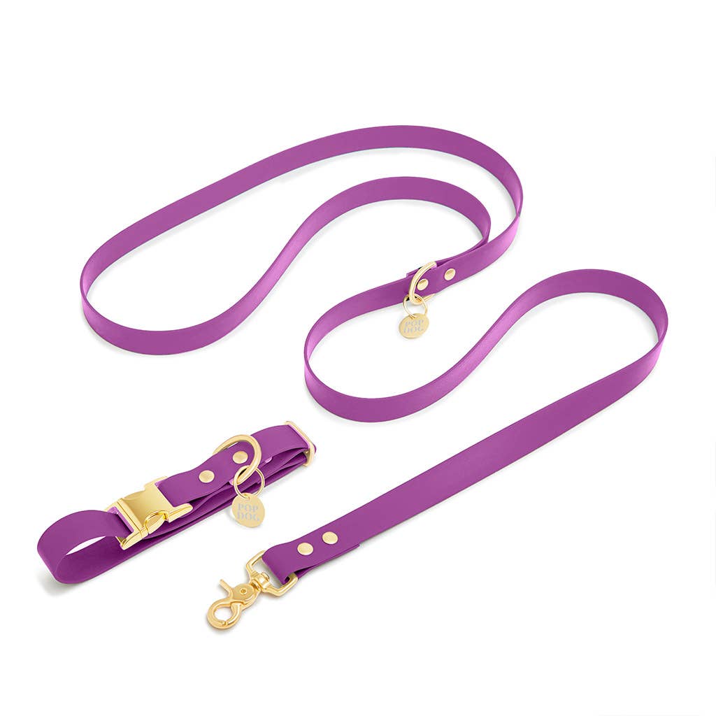 Handgemachtes Hundehalsband PRECIOIUS mit Klickverschluss aus robuster Biothane Lila mit Leine, erhältlich bei fiffi&muschi - Hundeladen/Concept Store Köln